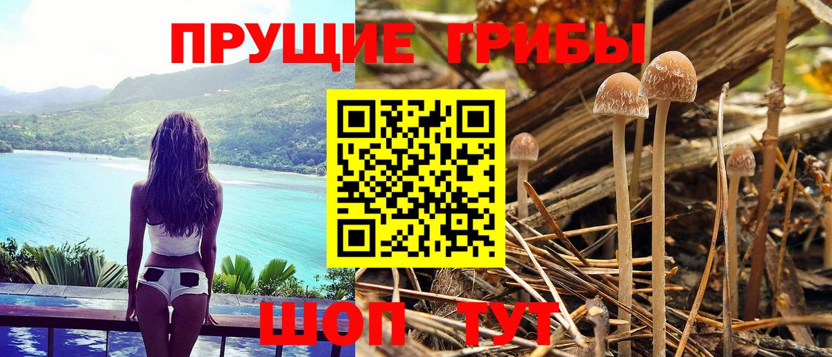 Псилоцибиновые грибы MAGIC MUSHROOMS Краснодар